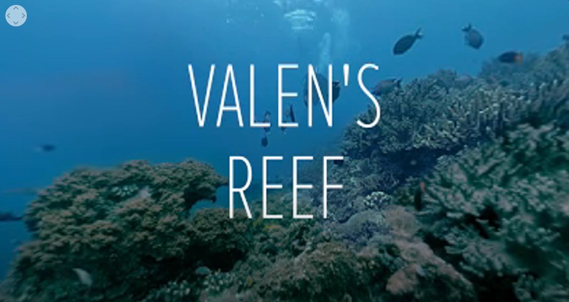 Virtual-Reality-Tour der Korallenriffe in Westpapua