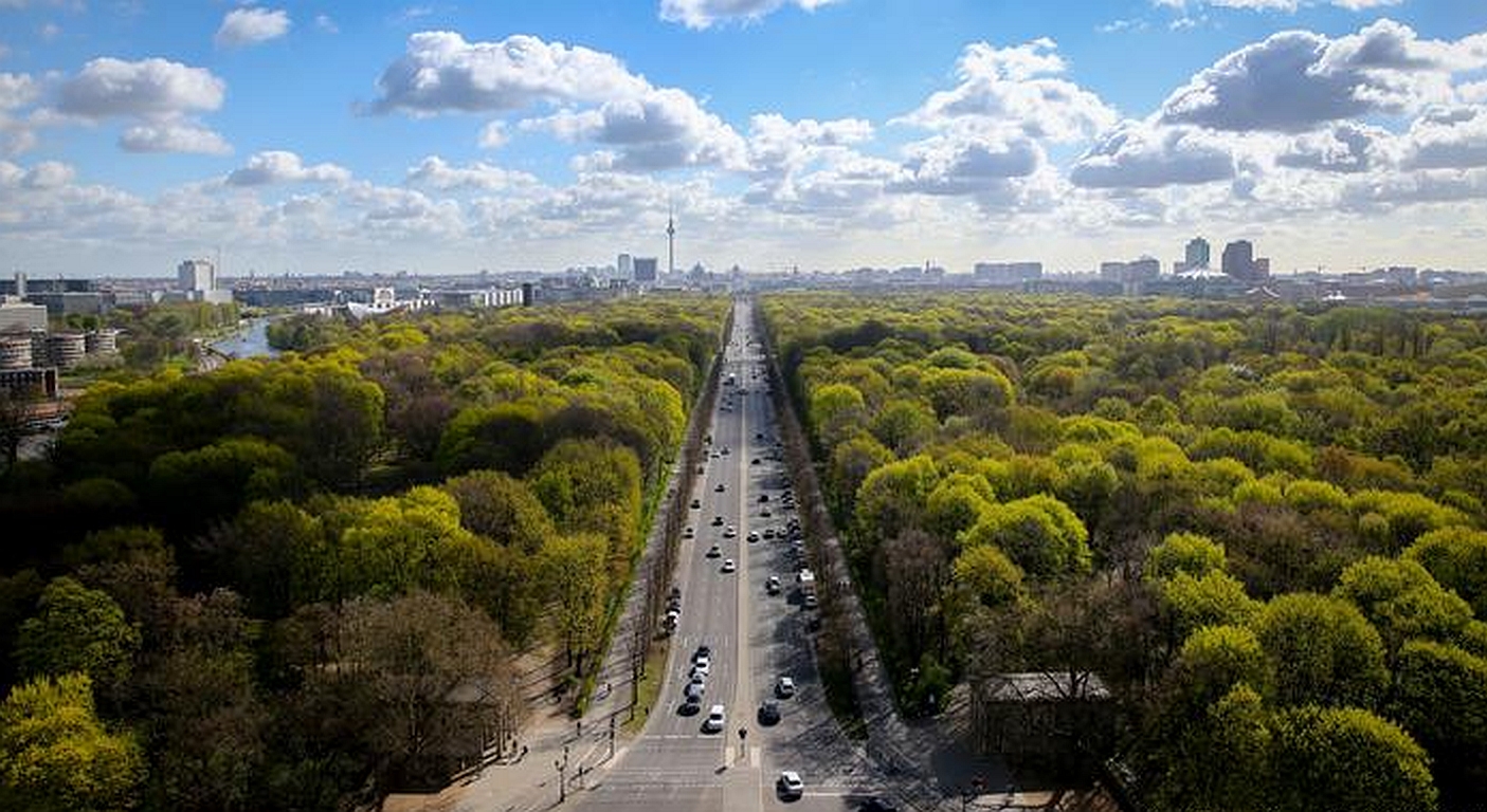 Klimawandel: Bäume helfen Städten gegen die Hitze