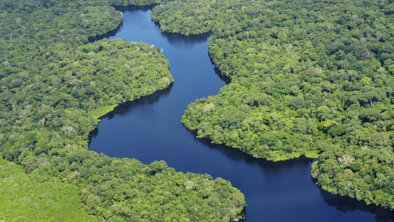 Amazonas-Regenwald:  lebensbedrohliche Dürren