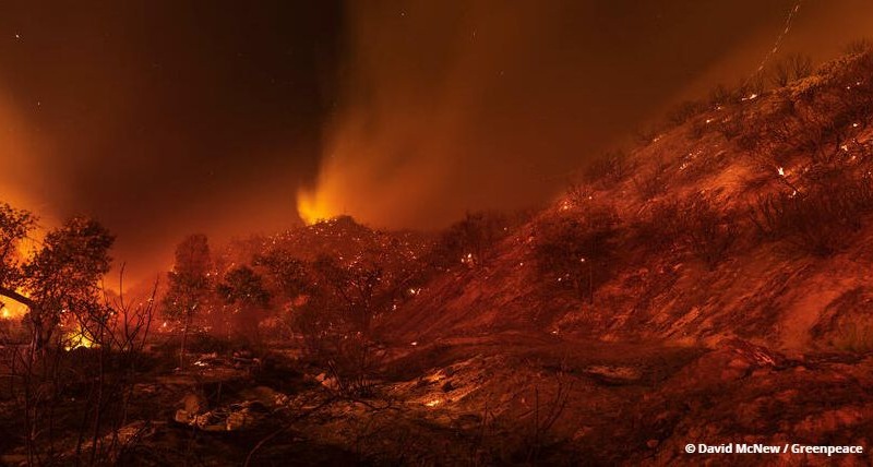 Kalifornische Waldbrände