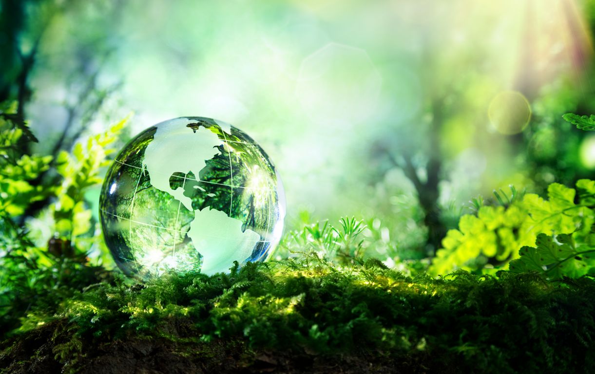 Brambles: Pläne für weltweit regenerative Lieferketten