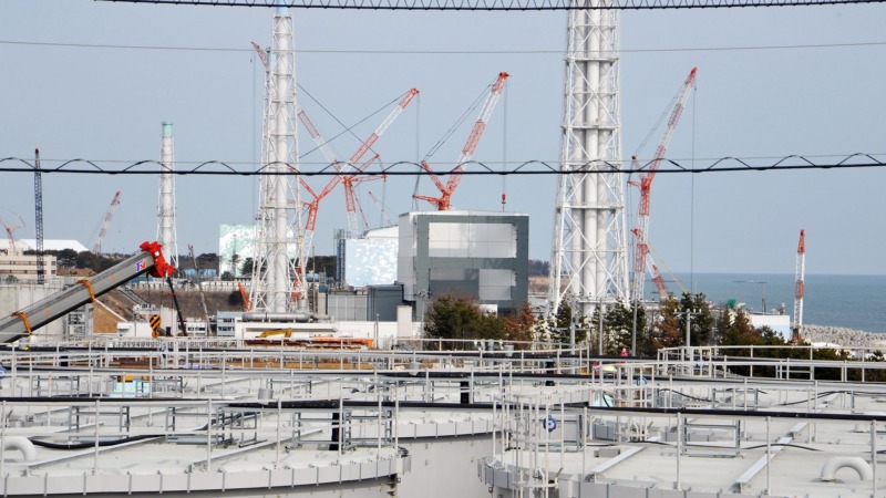 Starkes Erdbeben erschüttert Fukushima