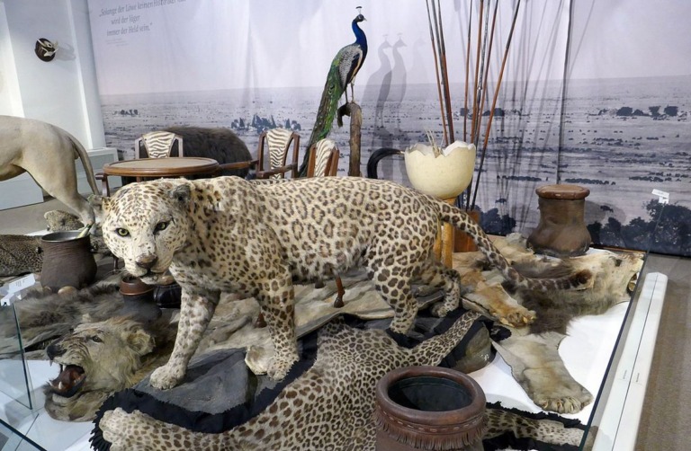 Deutsche Troph enj ger Erschie en Bedrohte Tiere Globalmagazin Deutsche Troph enj ger Erschie en Bedrohte Tiere Globalmagazin