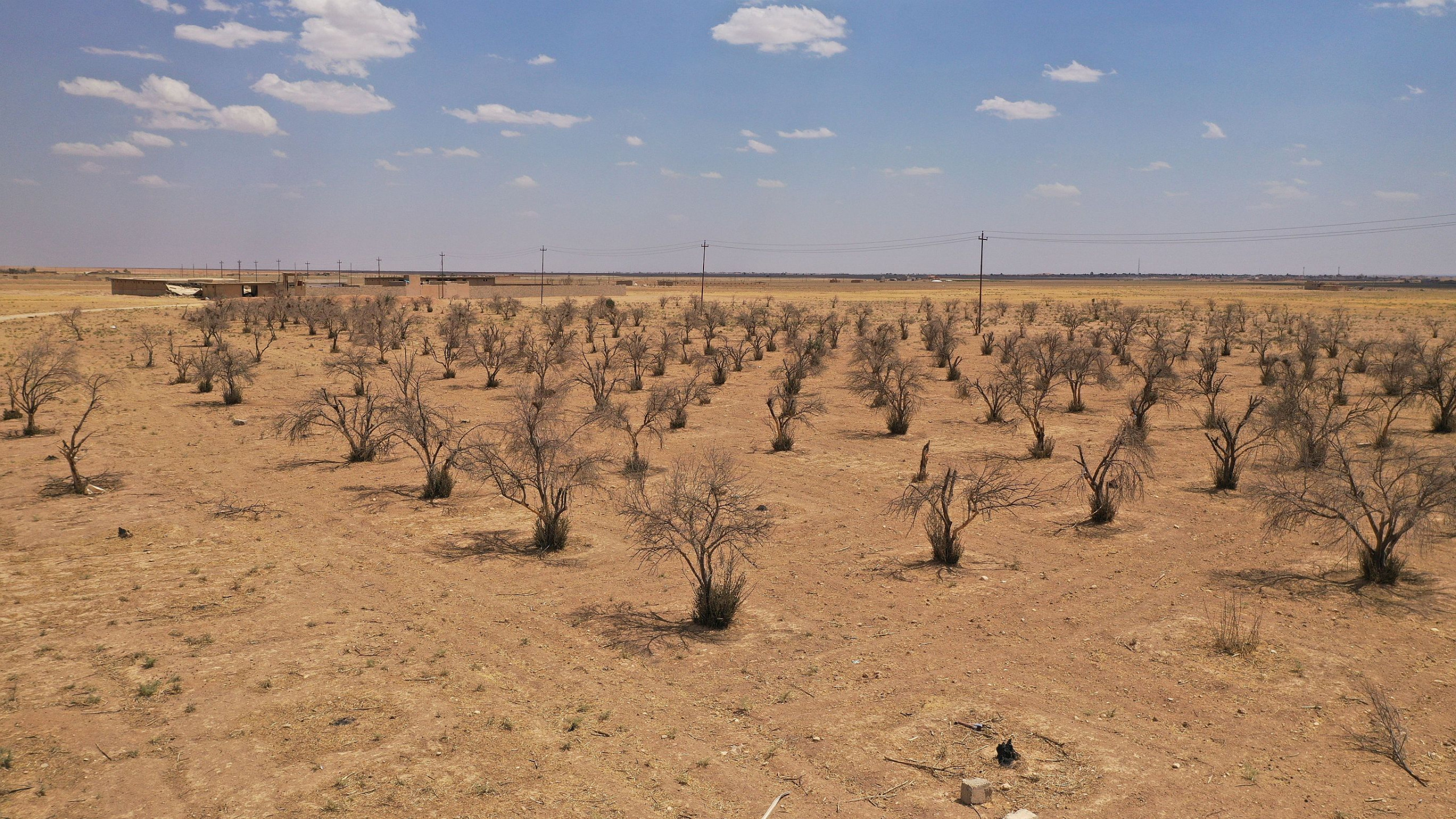 Klimakrise führt zur schlimmsten Dürre seit Jahrzehnten