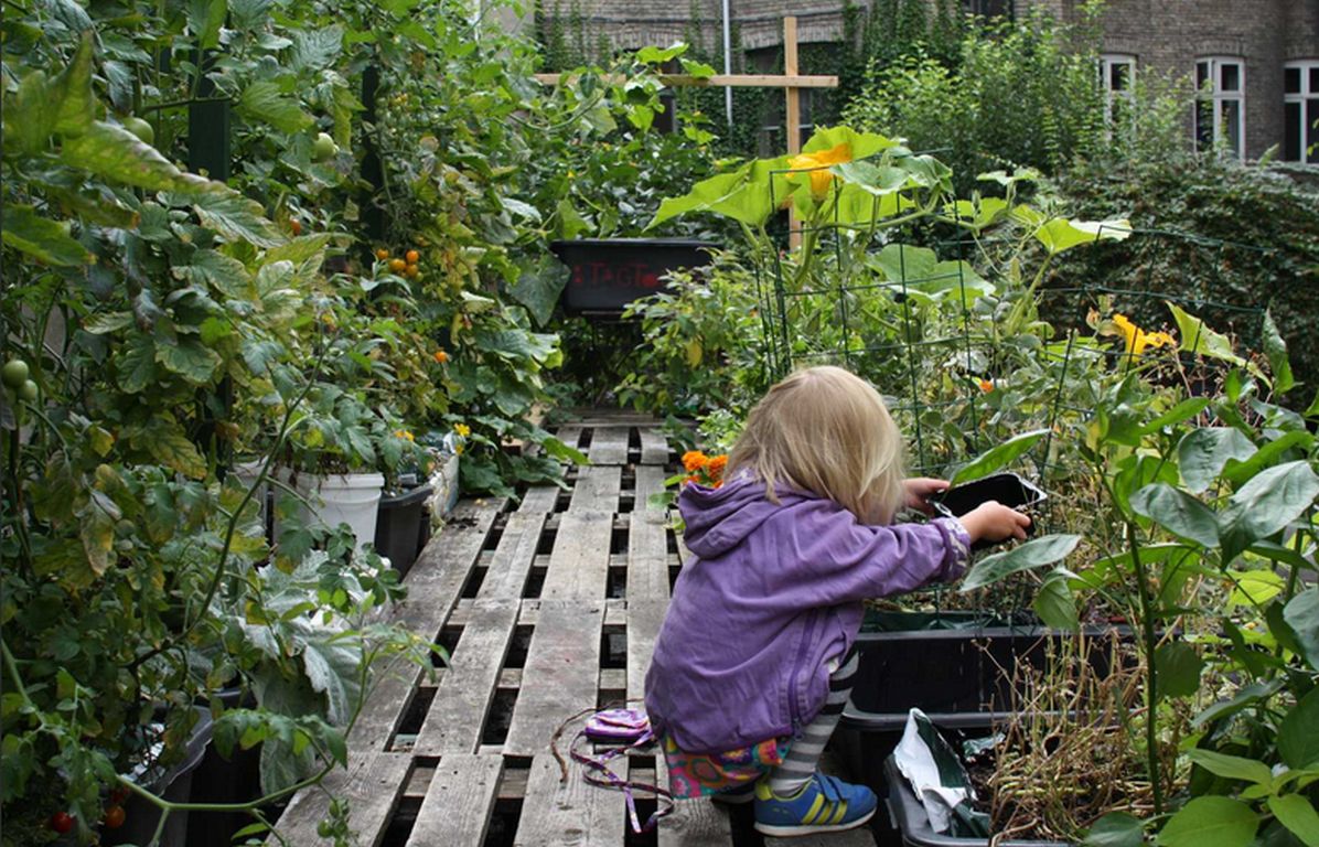 Urbane Gärten: Neue Wege der Lebensmittel­versorgung finden