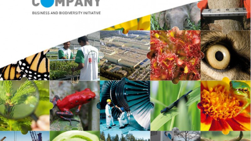 Unternehmen übernehmen Verantwortung für biologische Vielfalt