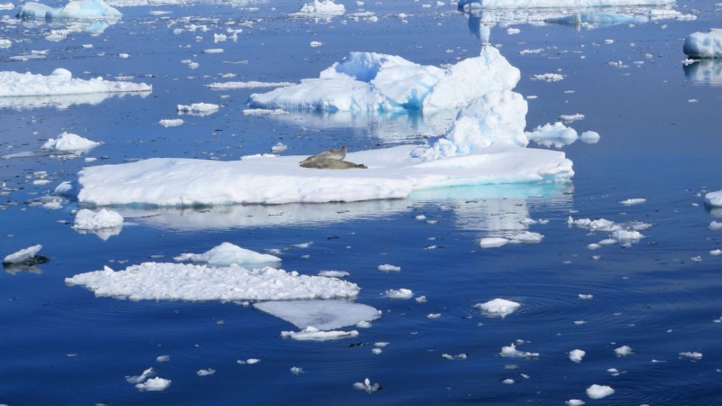 Antarktis: Die tägliche Meereisausdehnung auf Rekordminimum