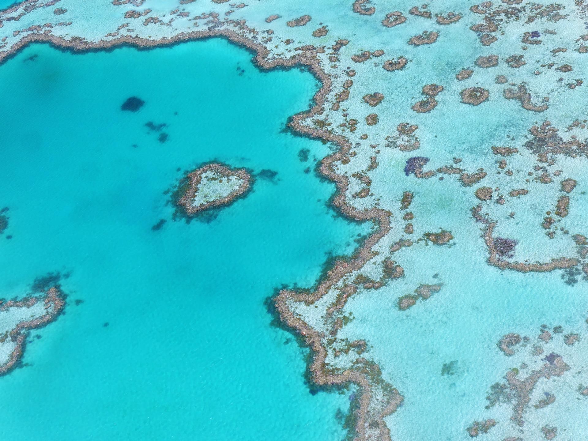 Hitzewelle lässt Great Barrier Reef weiter ausbleichen