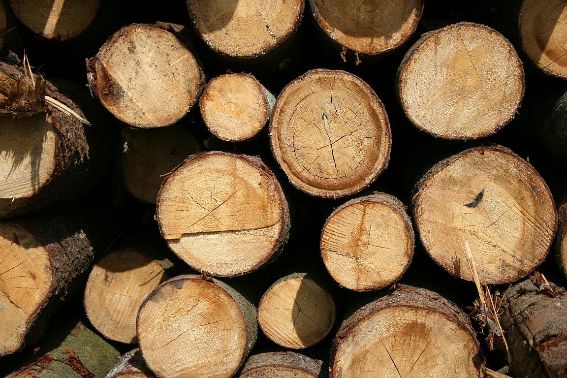 EU-Umweltrat für entwaldungsfreie Lieferketten