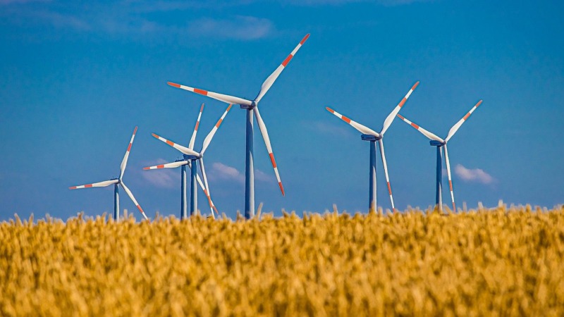 Hinter der Grenze wachsen Windkraftfabriken