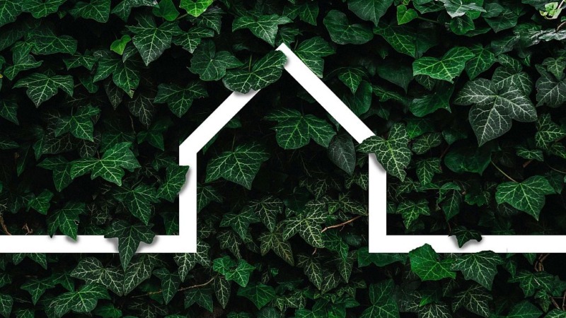 Nachhaltig bauen: Tipps für ein ökologisches Zuhause