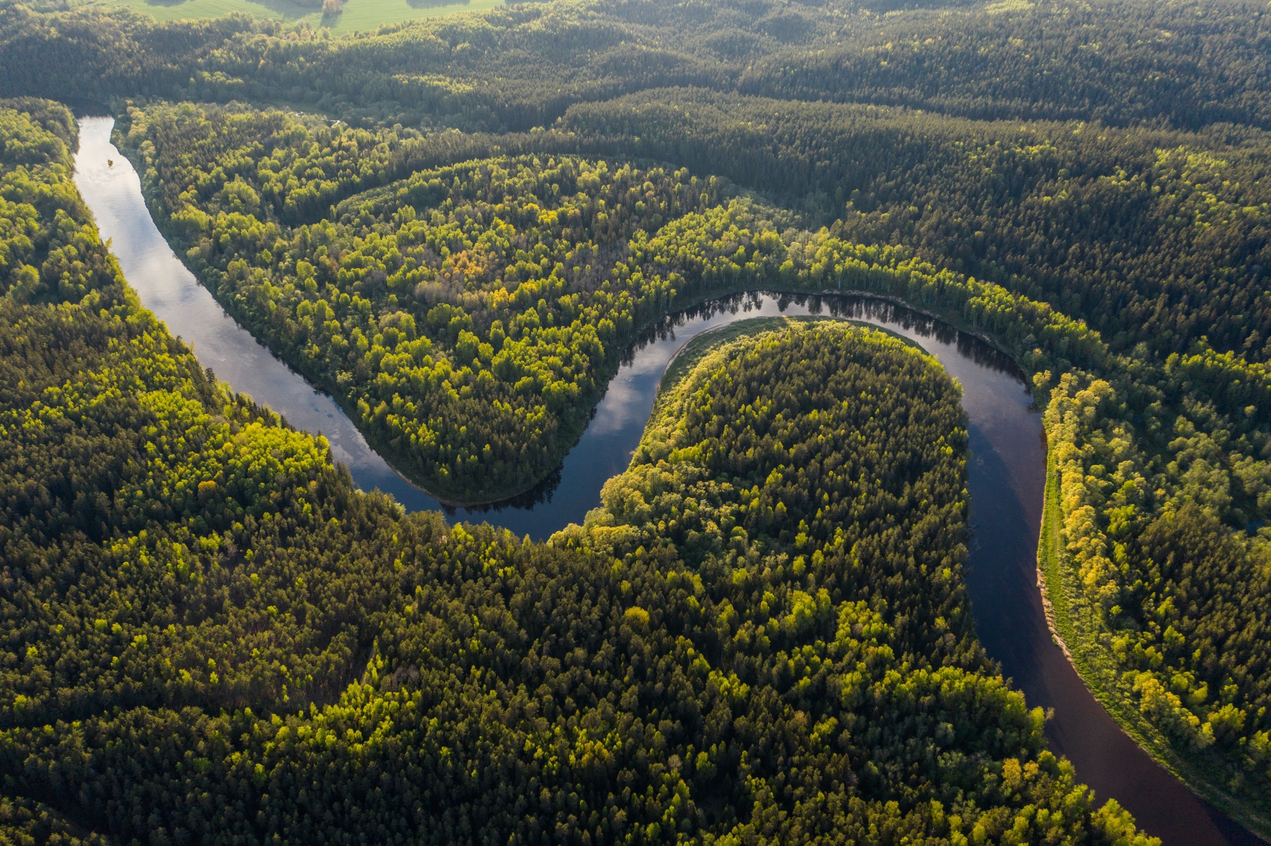 Ist der Amazonas noch zu retten?