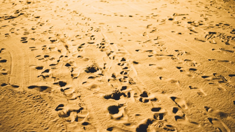 Migration