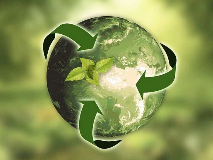 Die 4 Säulen der Nachhaltigkeit kennenlernen
