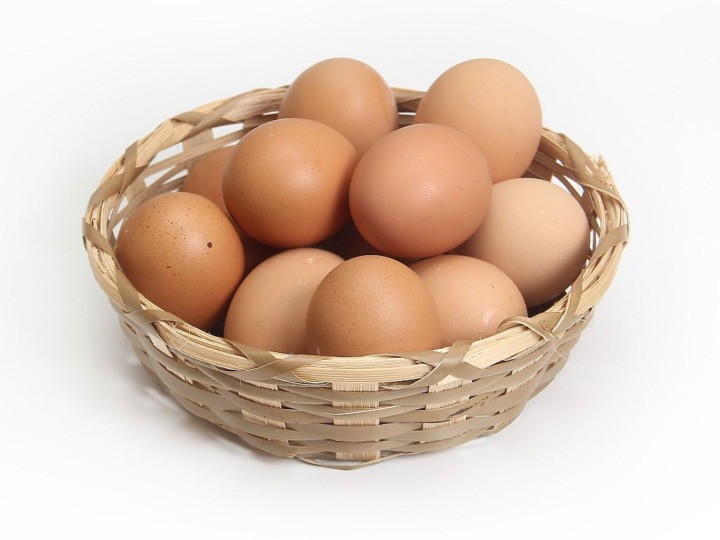 Startup Neggst: Vegane Eier sogar in der Schale