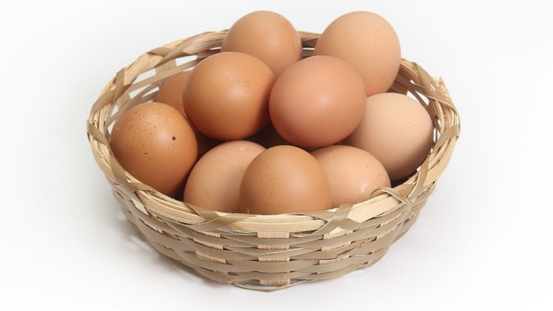 Startup Neggst: Vegane Eier sogar in der Schale