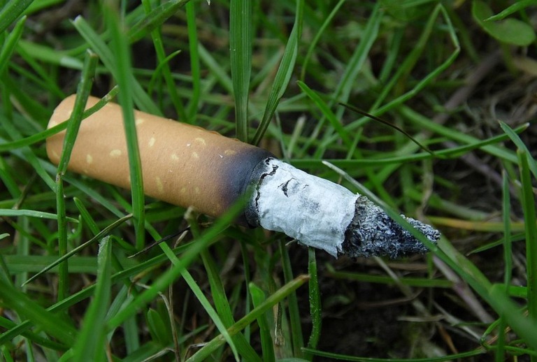 Aus Zigaretten-Kippen werden Brillen