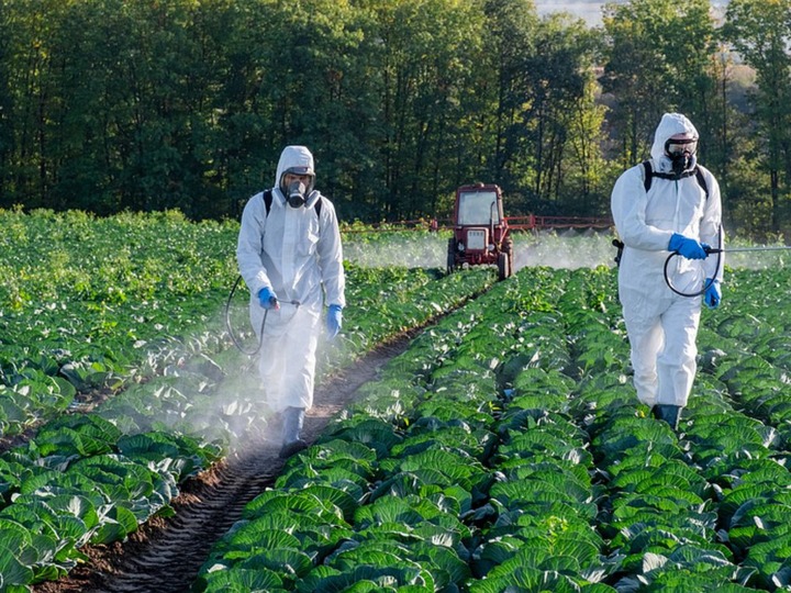 DUH und foodwatch: Erfolg gegen giftiges Pestizid