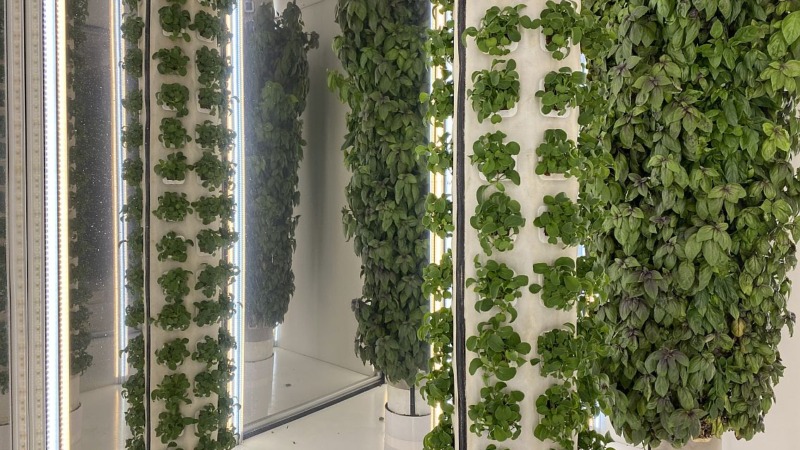 „Kampf mit den Elementen entgegen steuern“