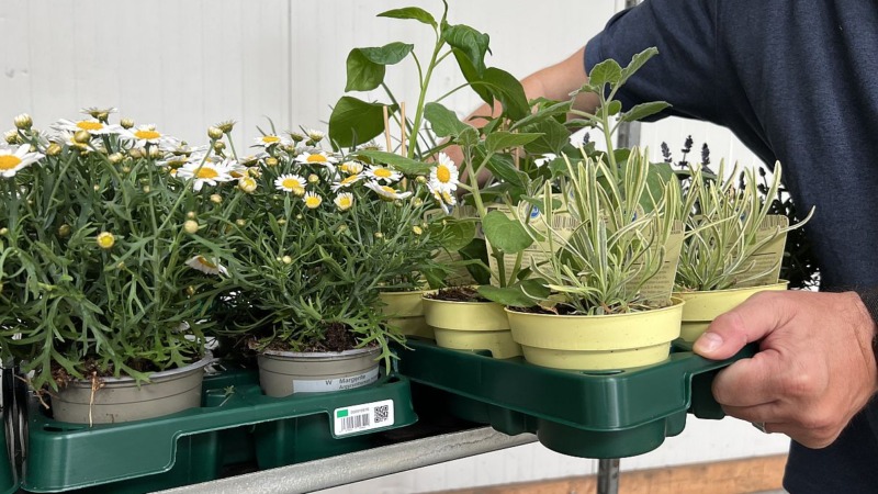 Hornbach setzt Zeichen bei Plastikvermeidung