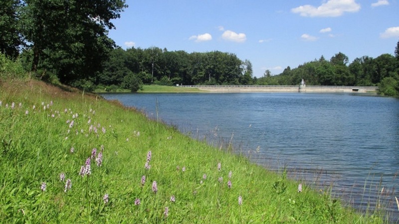 Mehr biologische Vielfalt im städtischen Raum