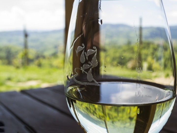 Klimawandel verdirbt dem Riesling das Bouquet