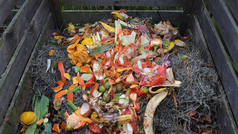 Kommunen mit beispielhafter Bioabfallsammlung