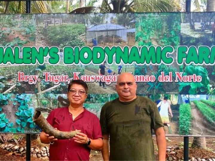 Arms to Farms: Frieden schaffen mit Bio-Landbau