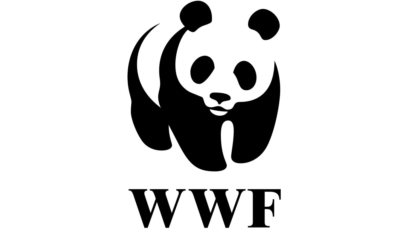 Entlassungen: Erdrutsch beim WWF