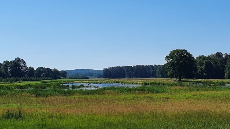 Klimaschutz auf Flächen des Nationalen Naturerbes