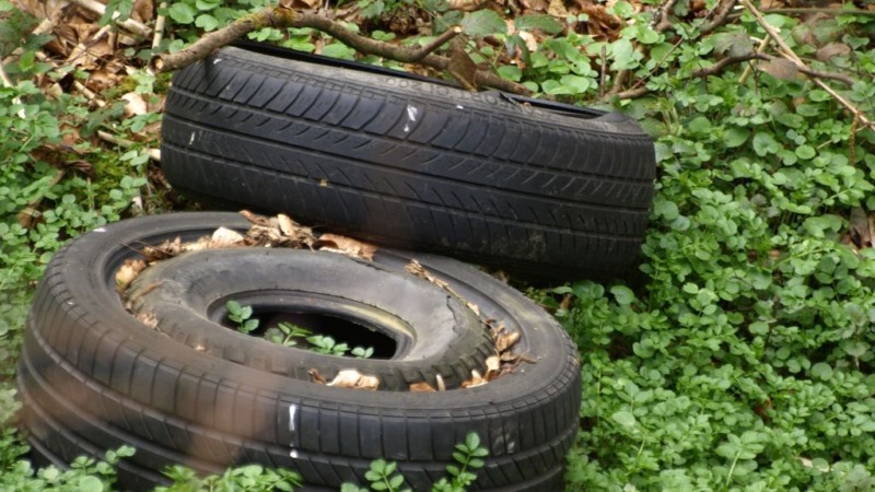 Schutt, Farben, Reifen: Müll im Wald ist ein Problem
