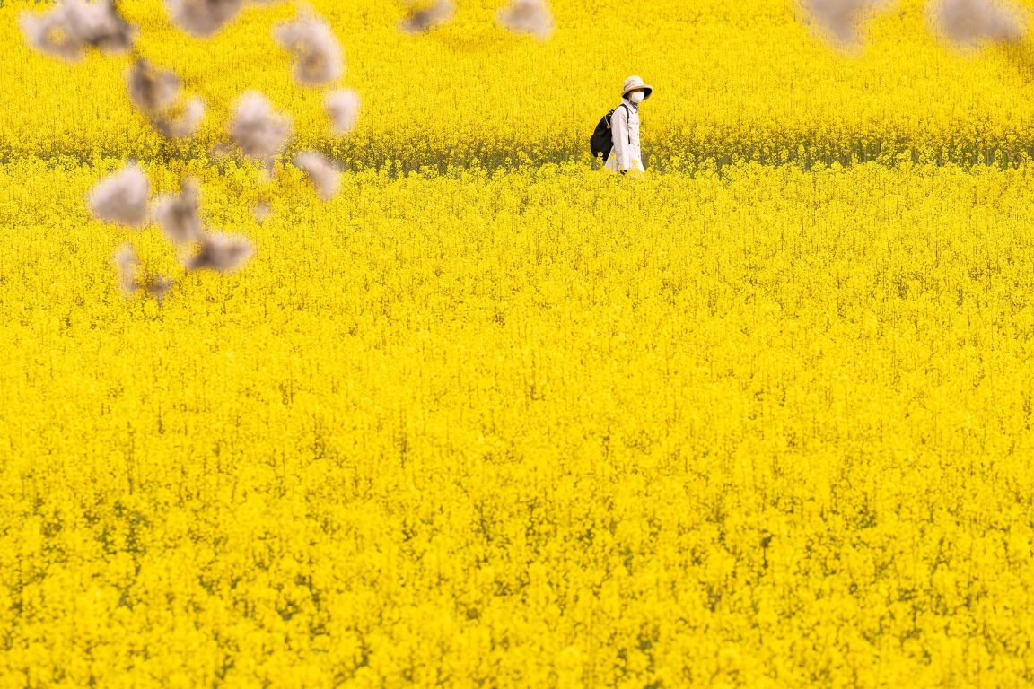 „Bio“-Kraftstoff mit schlechter Klimabilanz