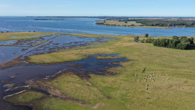Klimaschutz durch renaturierte Küstenmoore