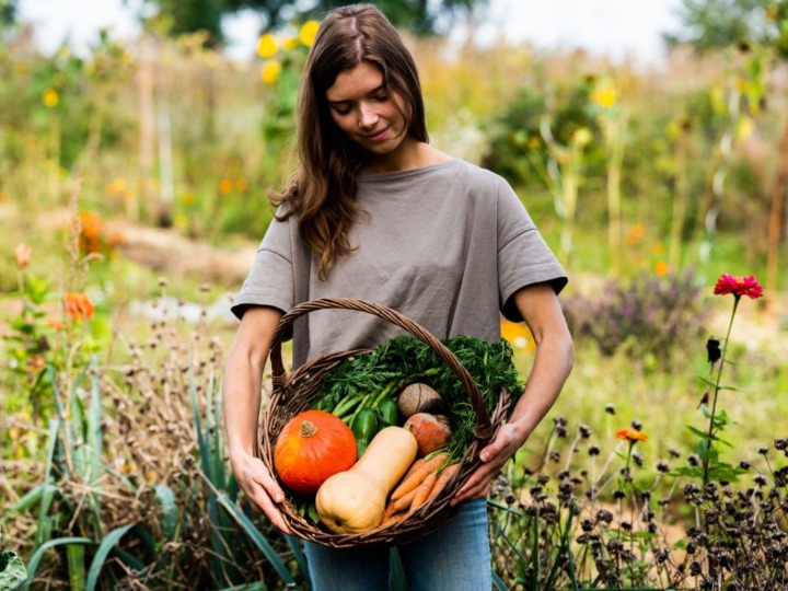 Gärtnern trotz Klimawandel