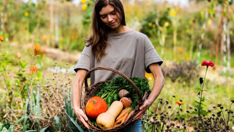 Gärtnern trotz Klimawandel