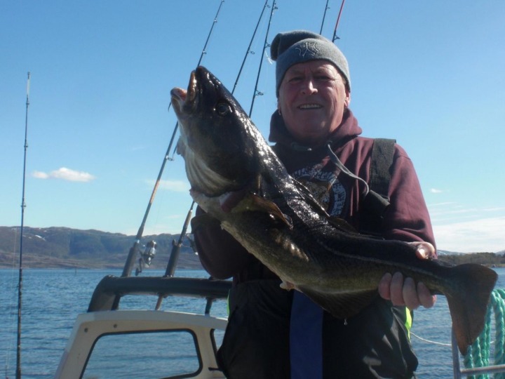 „Hochdramatisch“: Ostsee-Fische verändern Erbgut