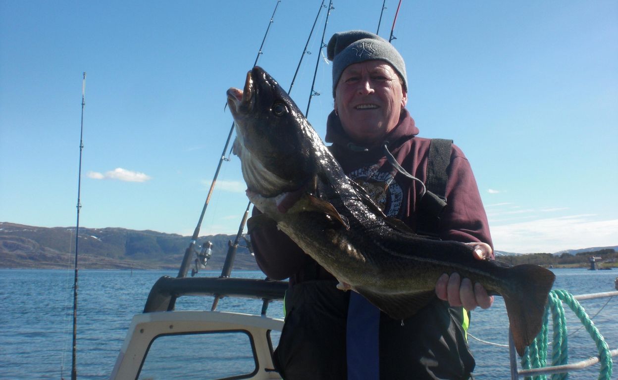 „Hochdramatisch“: Ostsee-Fische verändern Erbgut