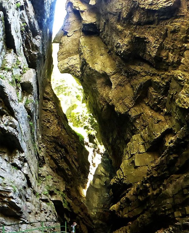 Deutschlands Naturwunder des Jahres 2025
