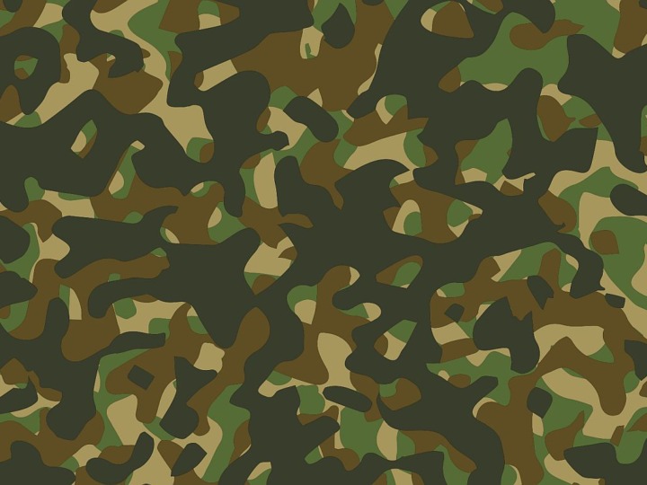 Wehrdienst: Rückkehr der Gewissensfrage