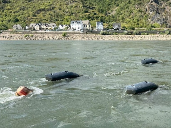 Strom aus dem Strom: Energiefische im Rhein