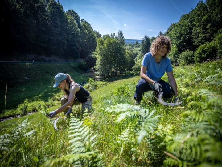Natur erleben im Bergwaldprojekt