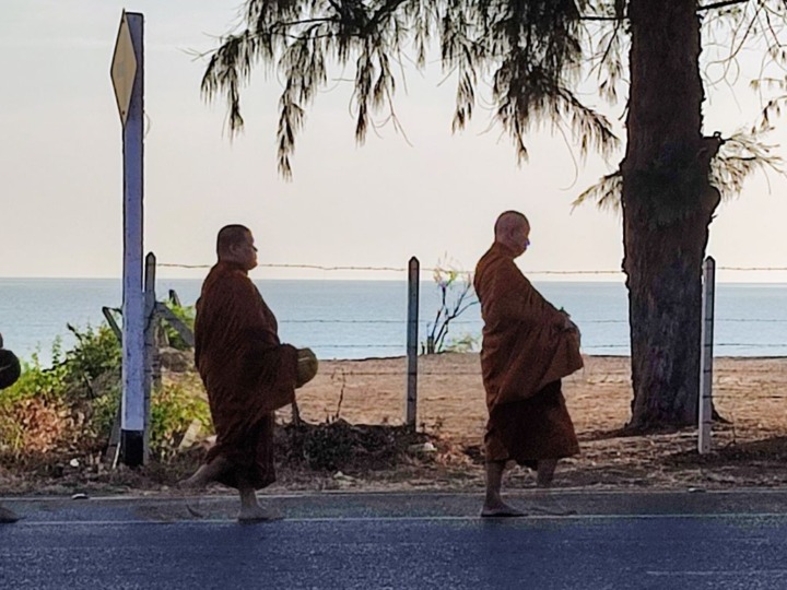 Nachhaltig reisen mit globalmagazin