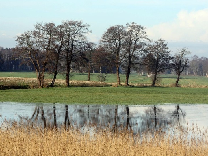 Mehr Raum für Flüsse und Auen
