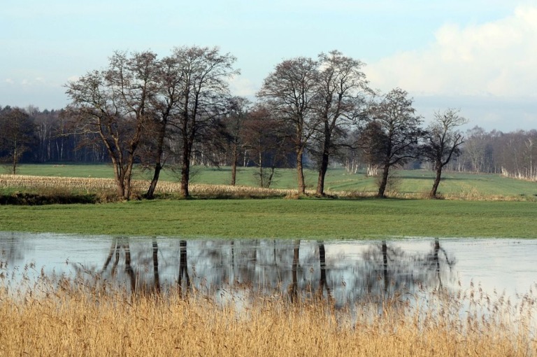 Mehr Raum für Flüsse und Auen