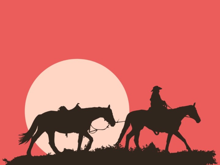 Aufs falsche Pferd gesetzt – Chance verspielt