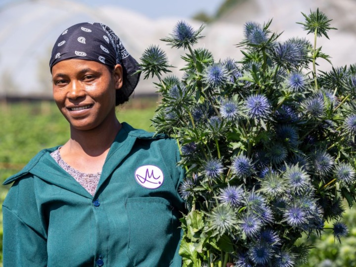 Ganzjährig Blumen: Nachhaltig und klimafreundlich