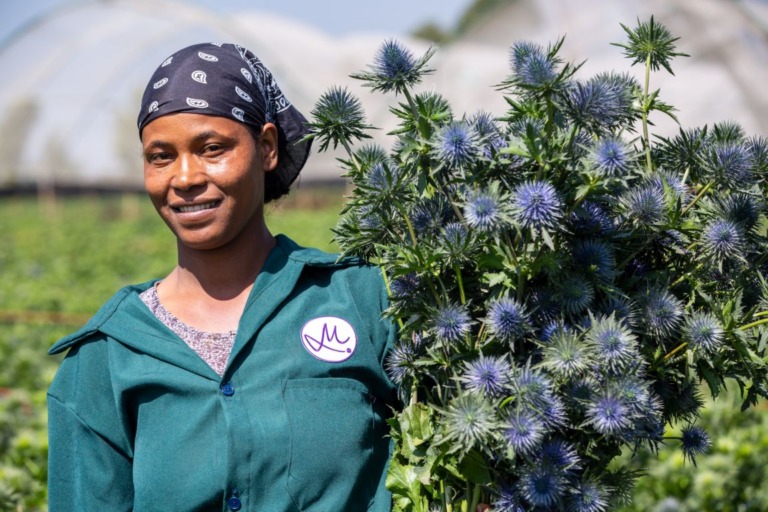 Ganzjährig Blumen: Nachhaltig und klimafreundlich