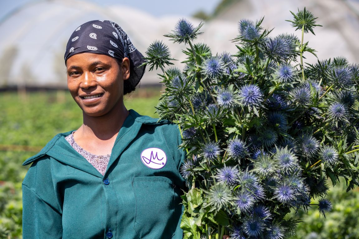 Ganzjährig Blumen: Nachhaltig und klimafreundlich