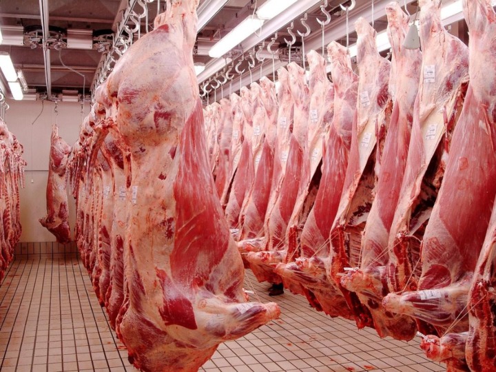 Tierschützer haften für heimliche Schweinevideos