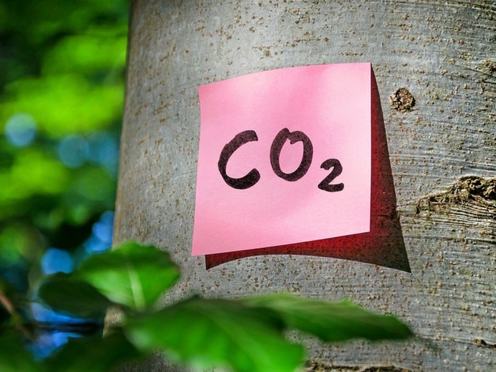 Rechtsrisiko Green Claims? Das sagen Juristen